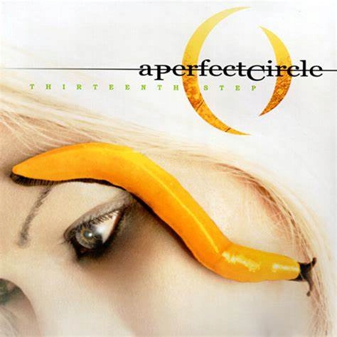 A Perfect Circle Thirteenth Step 2LP Winyl