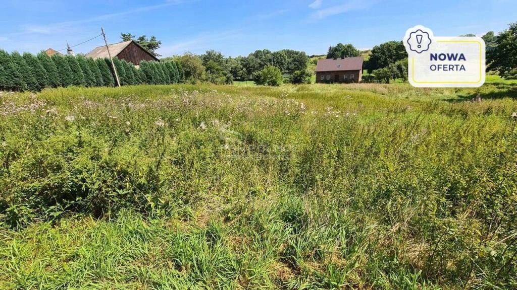 Działka, Połomia, Mszana (gm.), 3453 m²