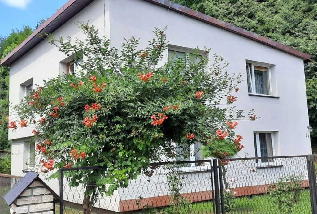 Dom, Wisła, Cieszyński (pow.), 160 m²