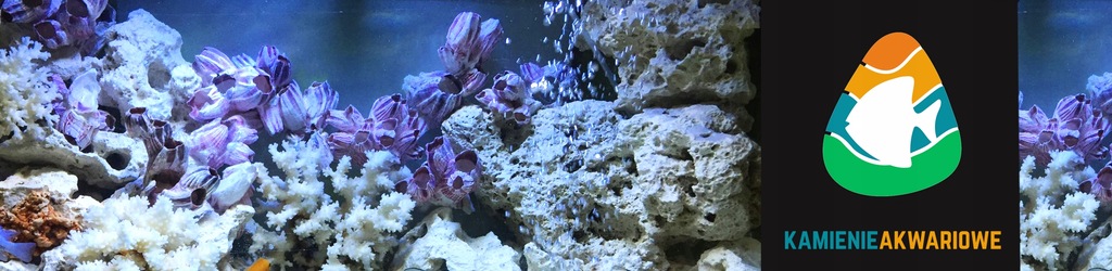 Купить BARNACLE SHELLS Украшение для аквариума Малави M: отзывы, фото, характеристики в интерне-магазине Aredi.ru
