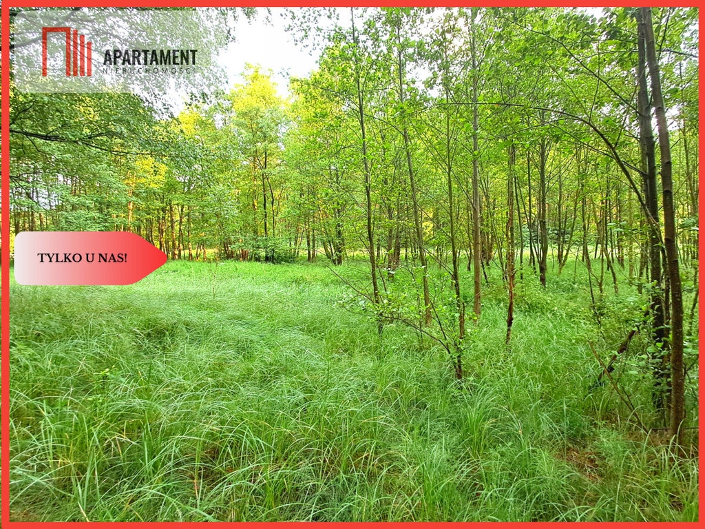 Działka, Szumiąca, Lubiewo (gm.), 2200 m²