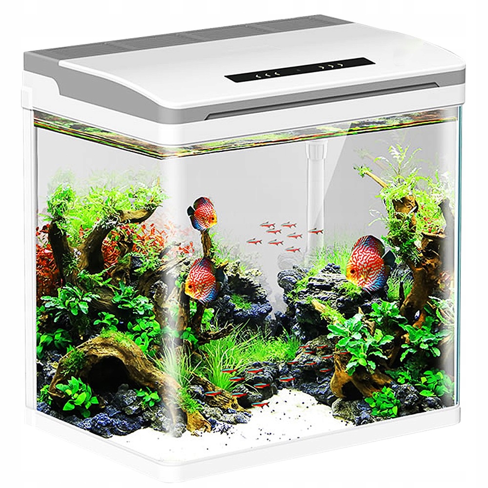 Aquario Pika-Pika AQUAKIDS Aquarium 4L - Komplettset Mit Beleuchtung & Filter