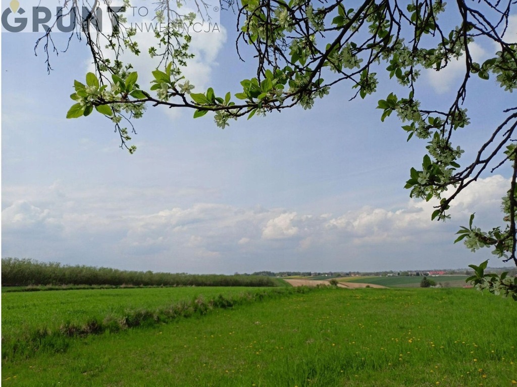 Działka, Ostrowiec Świętokrzyski, 1000 m²