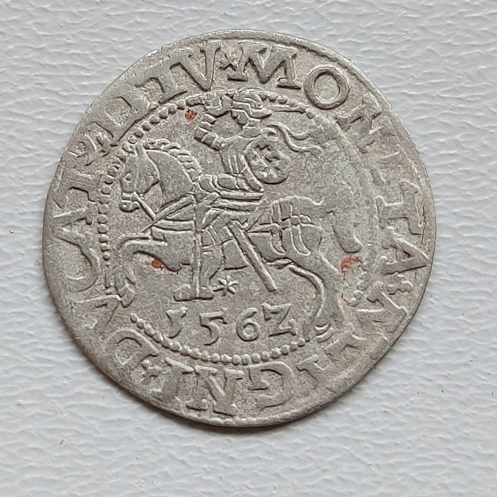 Półgrosz litewski Wilno 1562 r Zygmunt II August