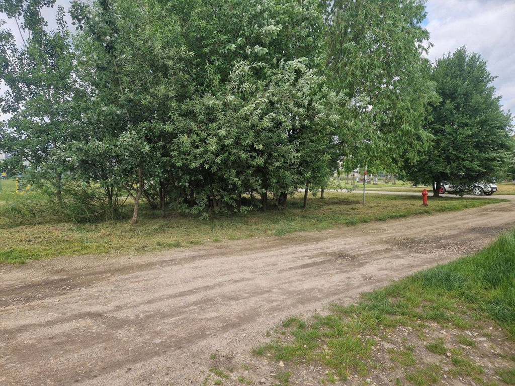 Działka, Wrocław, Krzyki, Brochów, 3980 m²