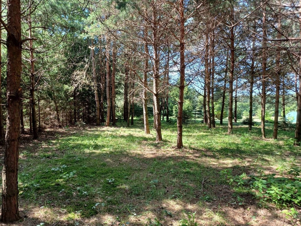 Działka, Ojrzanów, Żabia Wola (gm.), 1480 m²