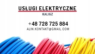 Profesjonalne Usługi Elektryczne