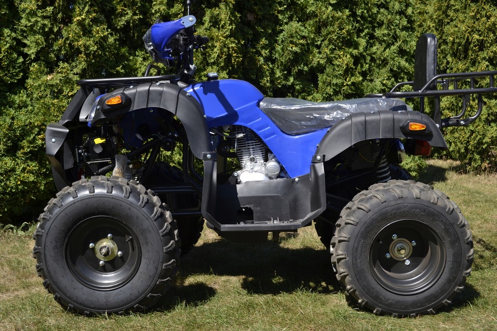 Купить КОЛЕСА QUAD 250 CC 10, ТОЛЬКО ПОЛНАЯ ОПЦИЯ 5299,- БЕСПЛАТНО: отзывы, фото, характеристики в интерне-магазине Aredi.ru