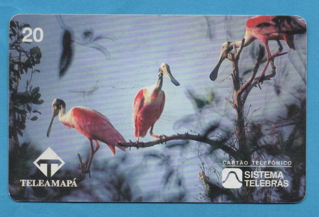 BRAZYLIA - karta tel. magnetyczna - FAUNA - ptaki