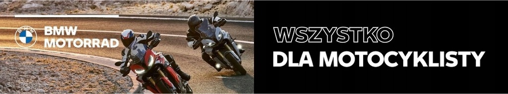 Купить Брелок BMW Motorrad 40 Years GS Limited Edition: отзывы, фото, характеристики в интерне-магазине Aredi.ru