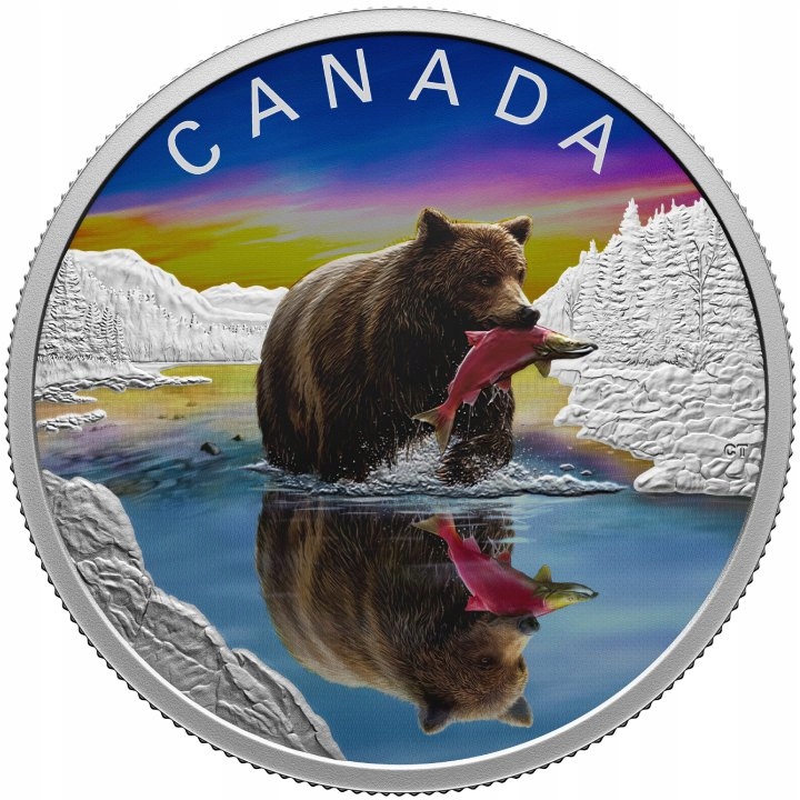 Canada: Wildlife Reflections - Grizzly Bear kolorowany Srebro 2024 Proof