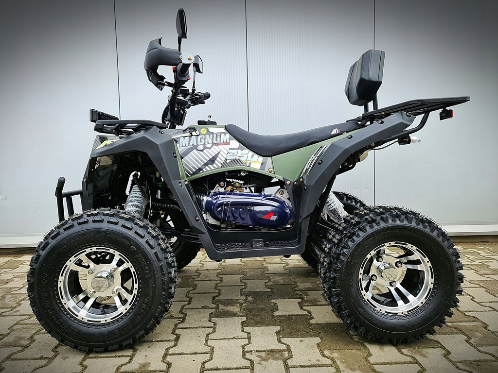 Купить MAGNUM POLARISS 250cc HAK, самый мощный ProMotor: отзывы, фото, характеристики в интерне-магазине Aredi.ru