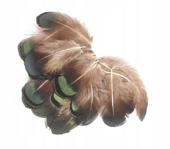 Bażant diament pióra 3-5cm SZAROZIELONE 25szt/1691