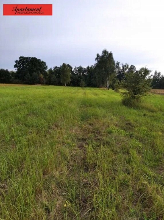 Działka, Uraz, Oborniki Śląskie (gm.), 1000 m²