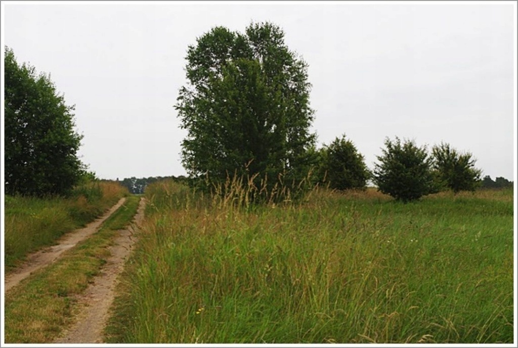 Działka, Salinko, Gniewino (gm.), 1200 m²