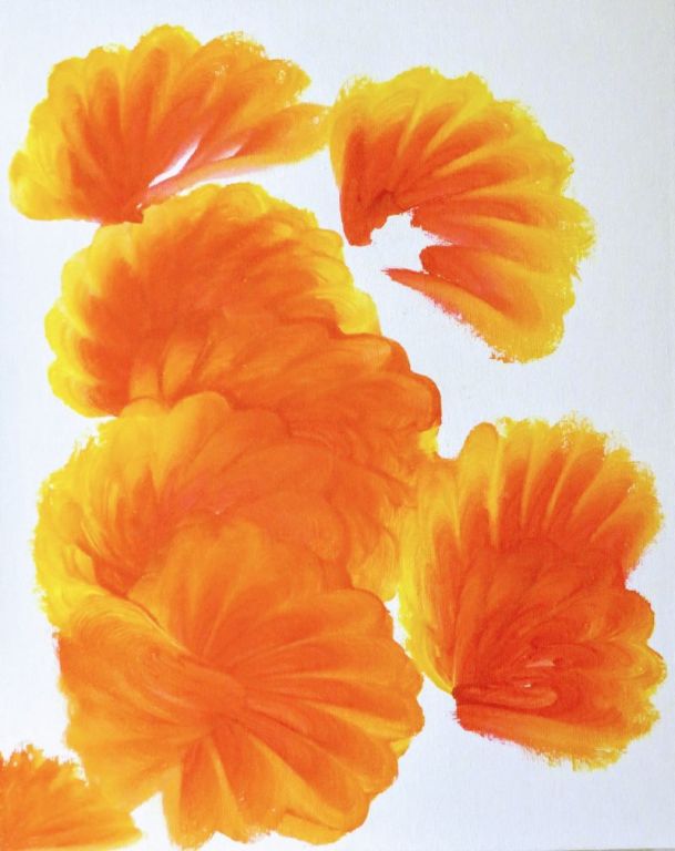 Pomarańczowe kwiaty