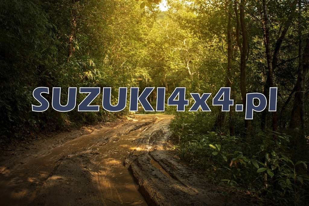 SUZUKI4X4.pl