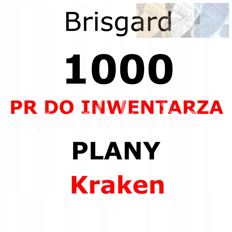 B 1000PR + PLANY KRAKEN Brisgard