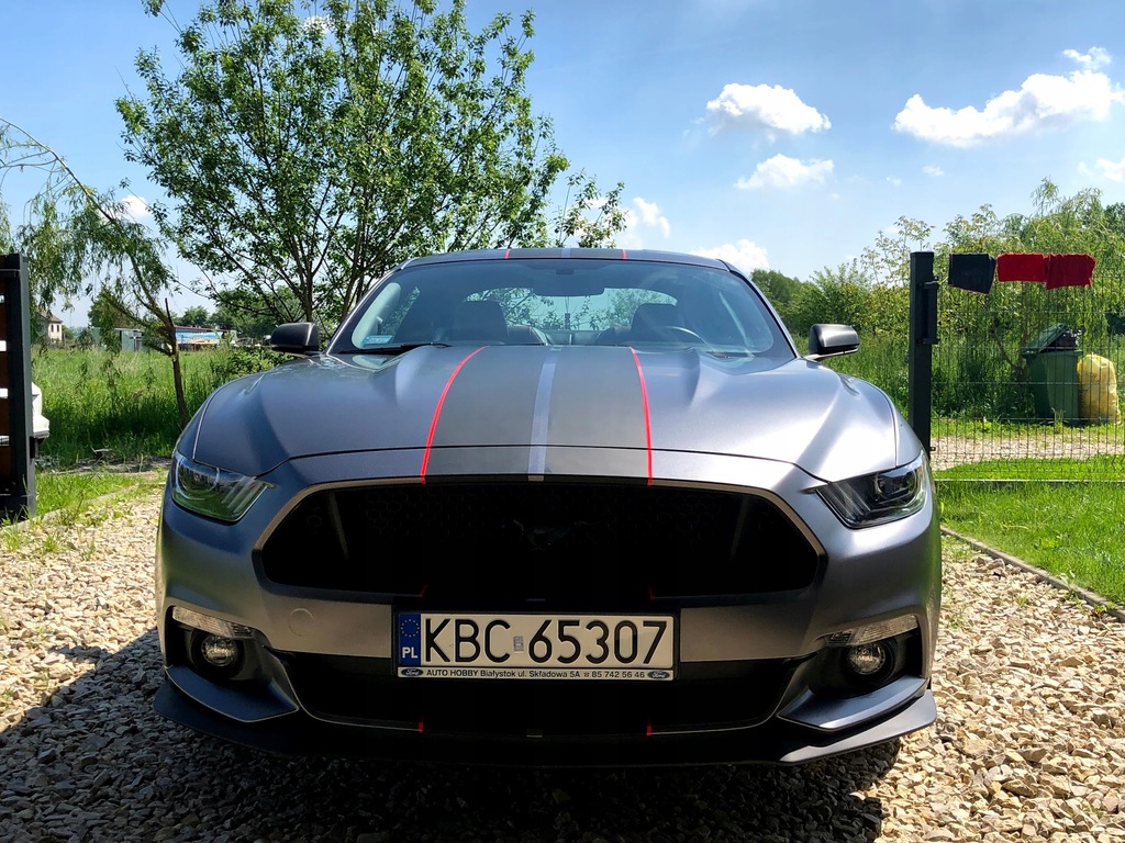 Купить MUSTANG 2.3 EcoBoost, вложено и застраховано: отзывы, фото, характеристики в интерне-магазине Aredi.ru