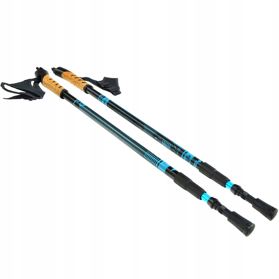 Kijki do Nordic Walking kije Bjorn Scout 2 szt