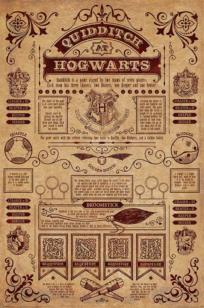 Harry Potter Quidditch Hogwarts Plakat 61x91,5 cm