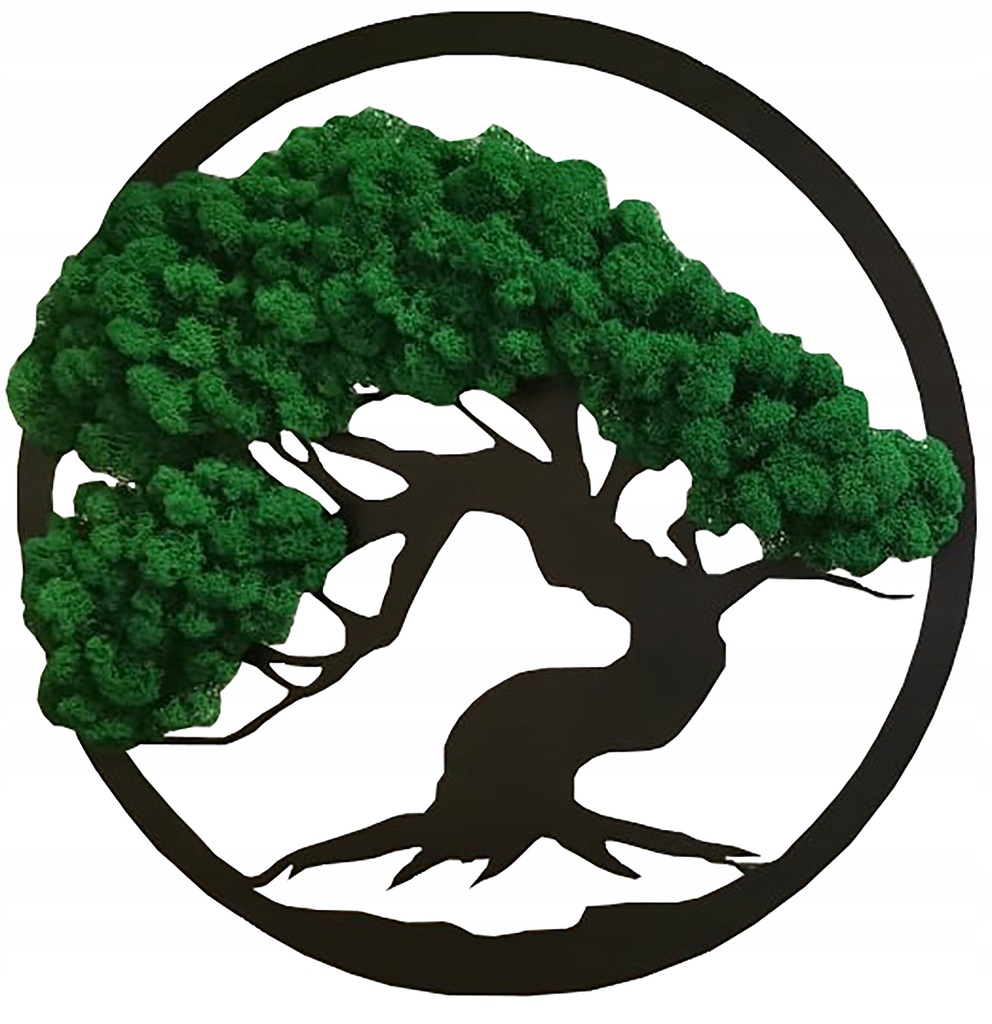 PREZENT ŻYWY OBRAZ DRZEWKO CHROBOTEK BONSAI 48cm