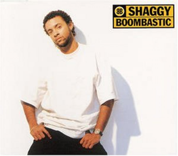 Shaggy Boombastic