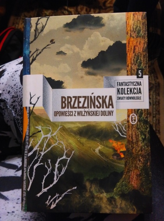 Opowieści z Wiliżyńskiej Doliny Brzezińska