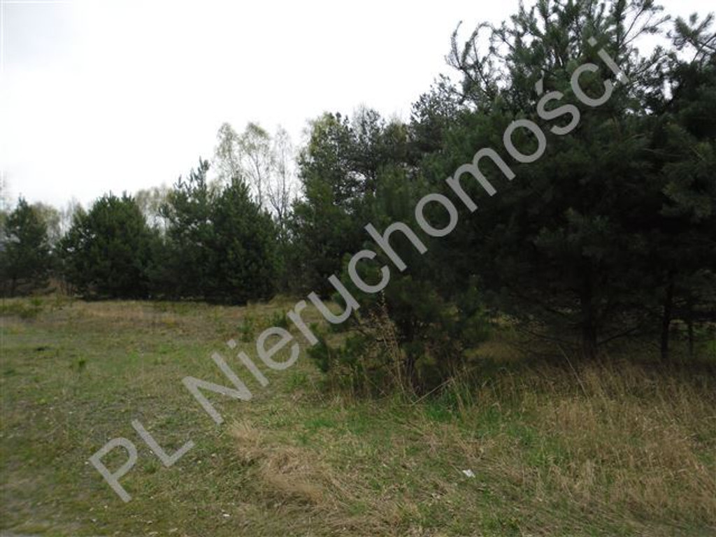 Działka, Stanisławów, 3800 m²