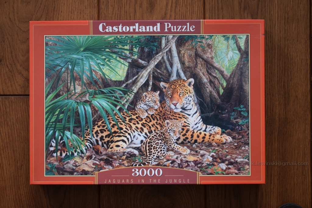 Puzzle Castorland 3000 używane - Kraków