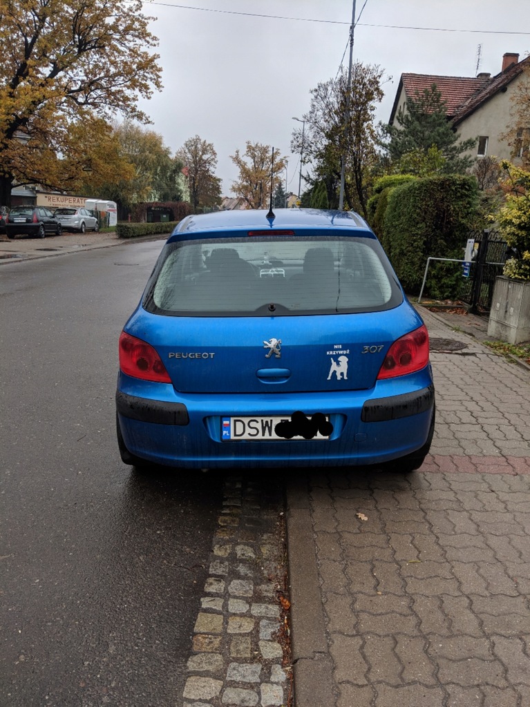 Peugeot 307 1.4 benzyna + LPG 2002 75 KM 7651961336