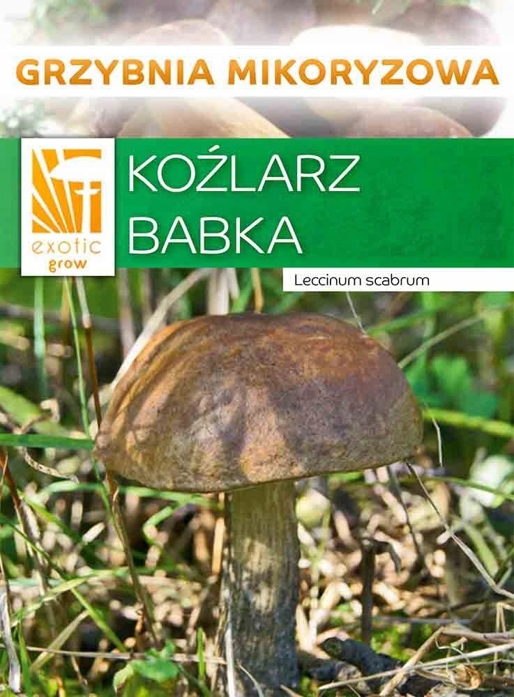 Grzybnia Koźlarz Babka Kozak Koźlak 10g