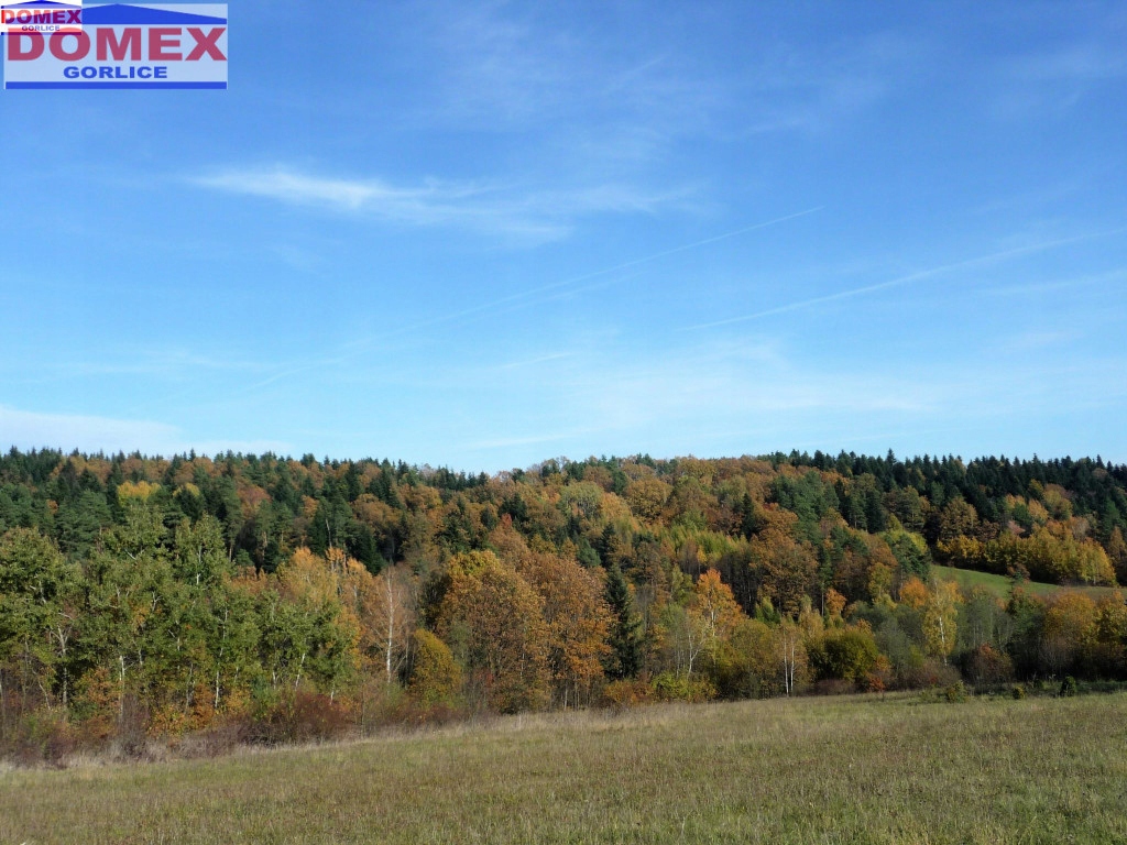 Działka, Rożnowice, Biecz (gm.), 3300 m²