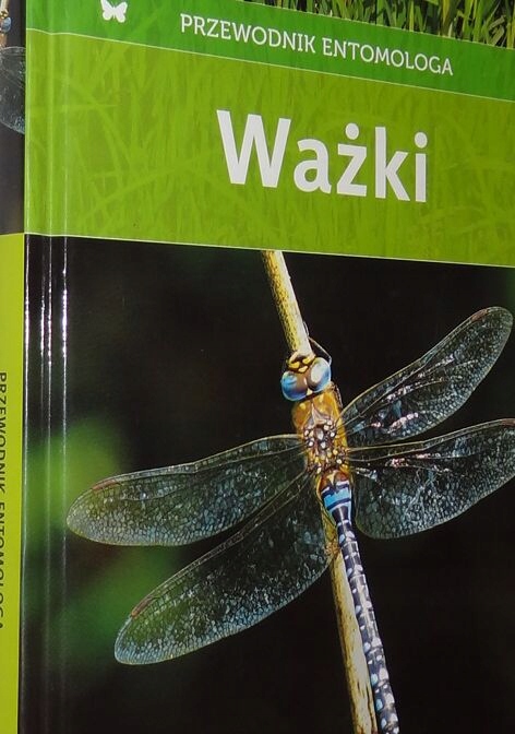 Ważki Przewodnik entomologa Bellmann BDB