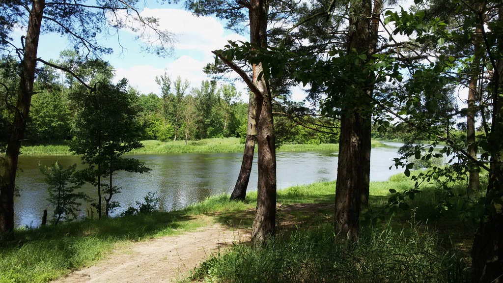 Wyprawy Wędkarskie pobyt Weekendowy nad Narwią