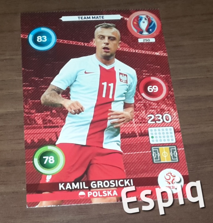 Kamil Grosicki Team mate Panini Euro 2016