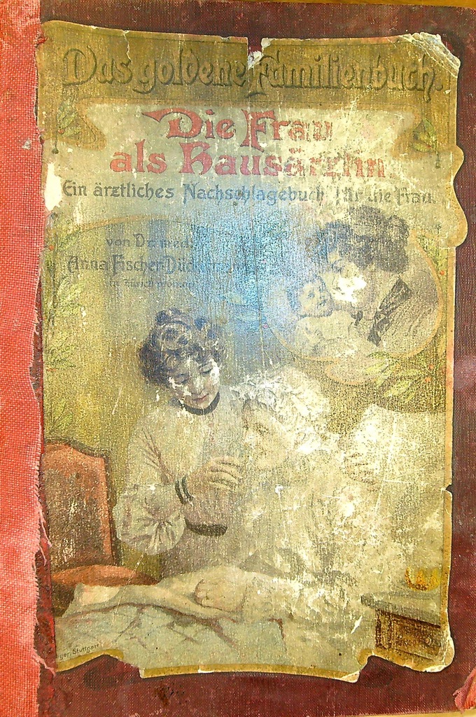 DIE FRAU ALS HAUSARZTIN (1911)