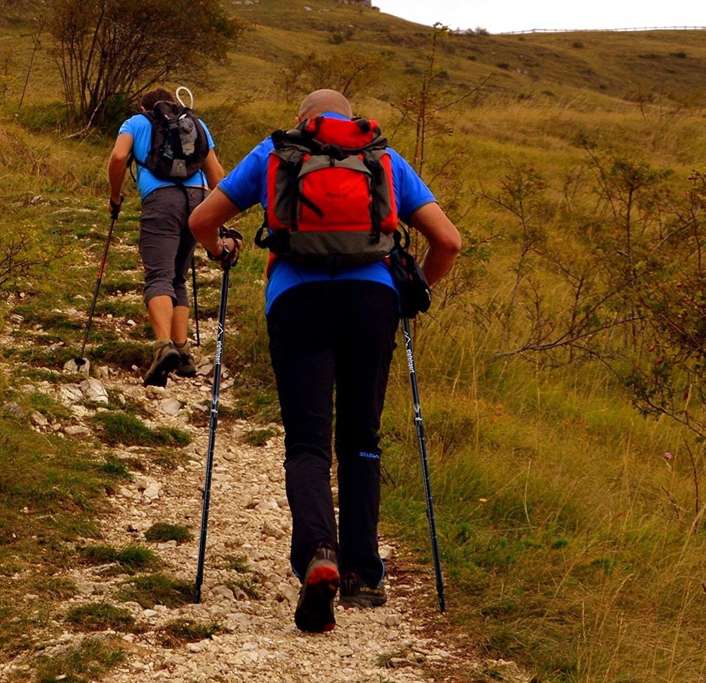 Купить Пробковые палки NORDIC WALKING, 2 шт, чехол, КОМПЛЕКТ: отзывы, фото, характеристики в интерне-магазине Aredi.ru