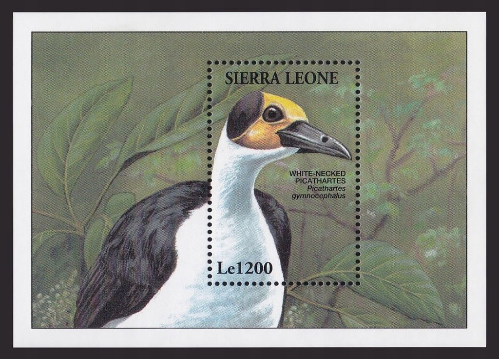 SIERRA LEONE - PTAKI - 1994 r. - MNH(**)