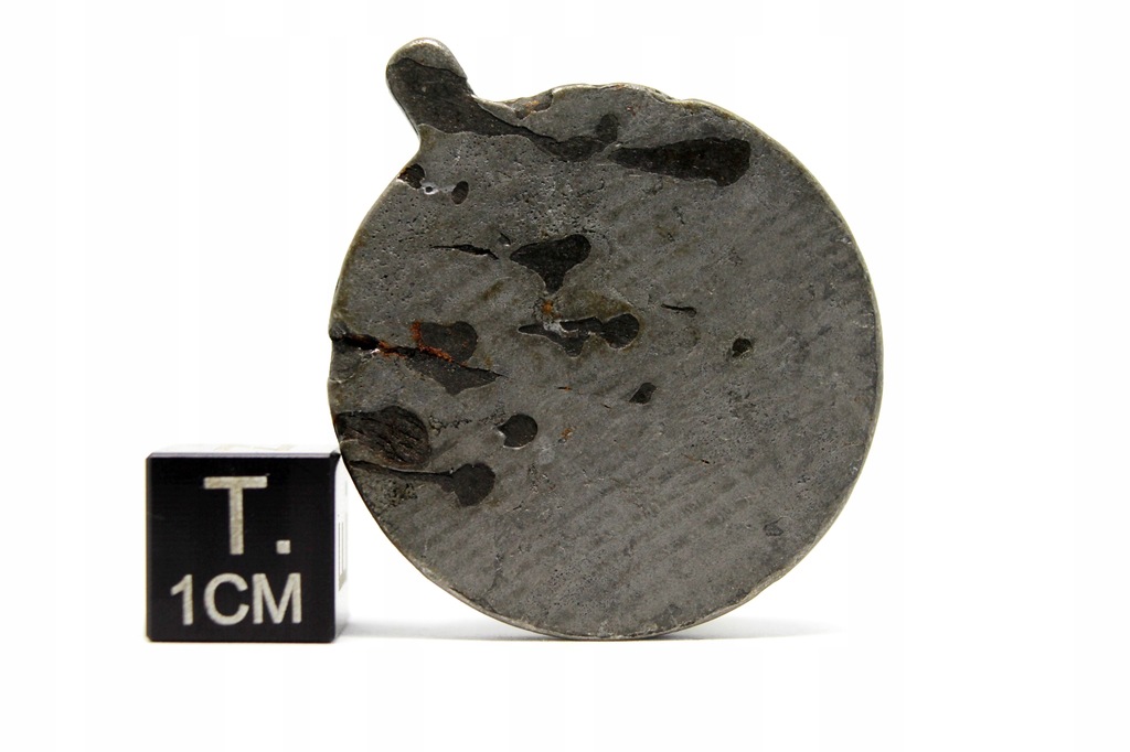 Meteoryt Dronino, żelazny, Ataksyt Ungr. 15,41 g