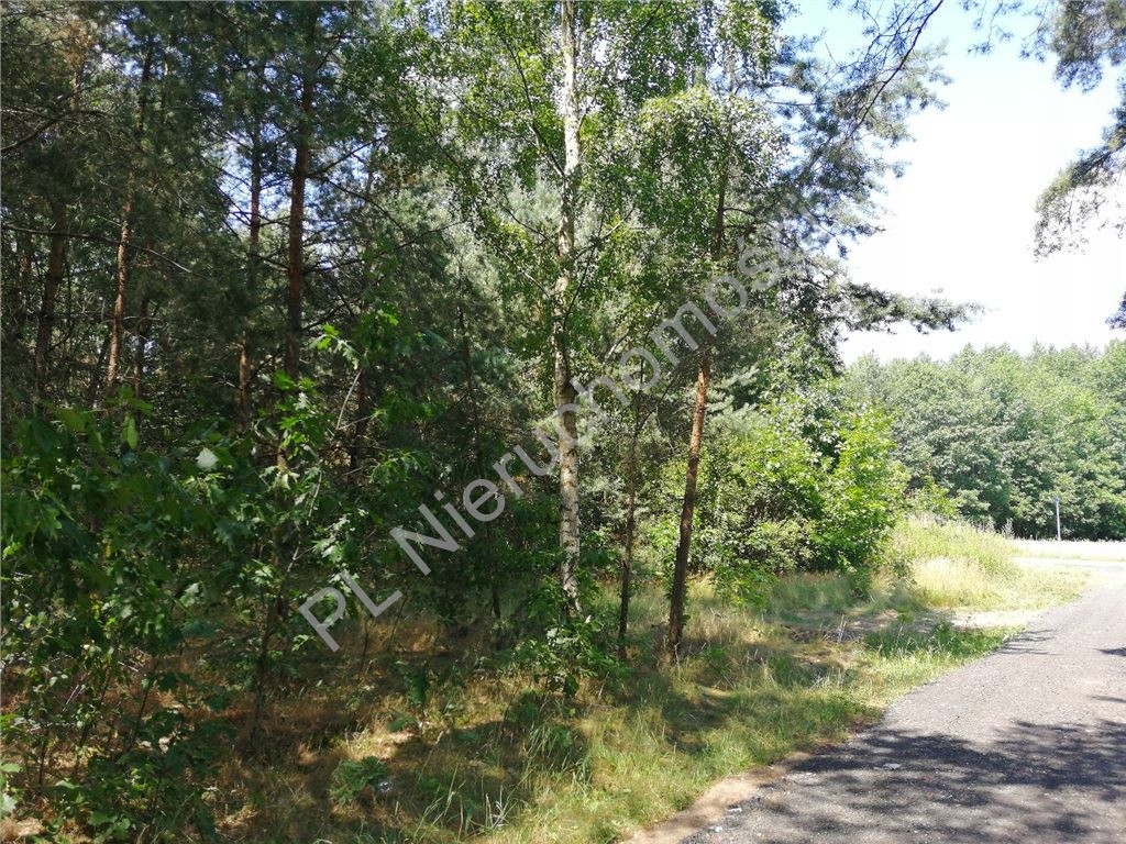 Działka, Sokóle, 970 m²