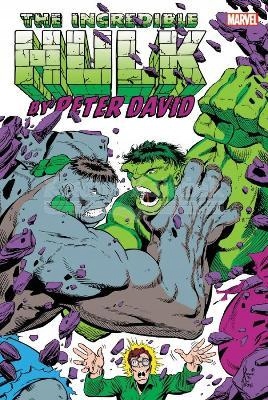 INCREDIBLE HULK BY PETER DAVID OMNIBUS VOL 02 HC