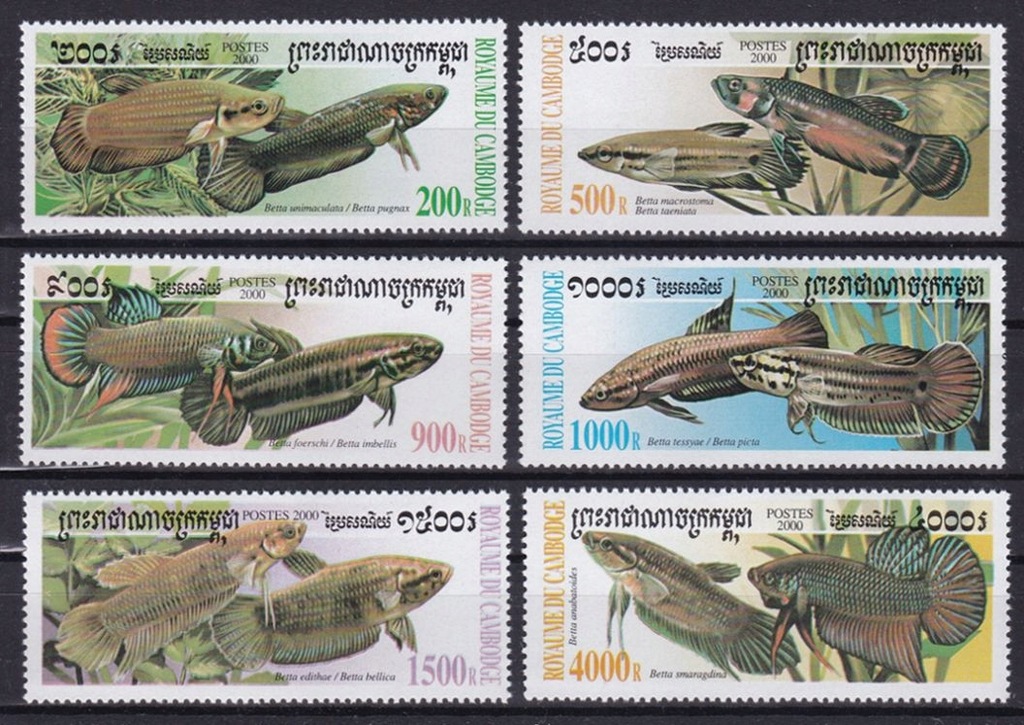 CAMBODGE - RYBY - 2000 r. - MNH(**)