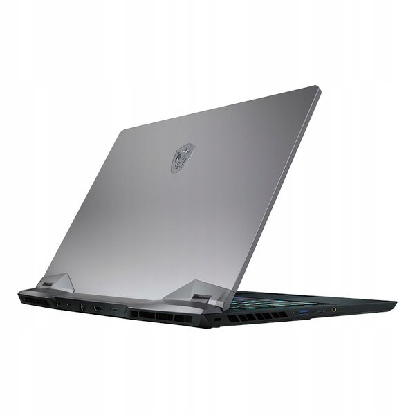 Купить Игровой ноутбук MSI GE66-054ES 15,6 дюйма i9-10980HK: отзывы, фото, характеристики в интерне-магазине Aredi.ru