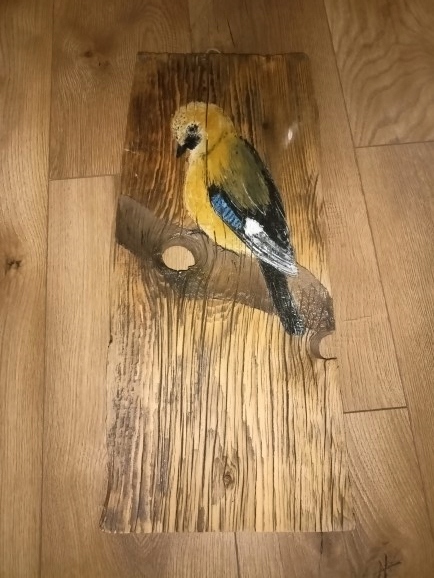 #UWM Unikalny obraz na drewnie rozbiórkowym - sójka!
