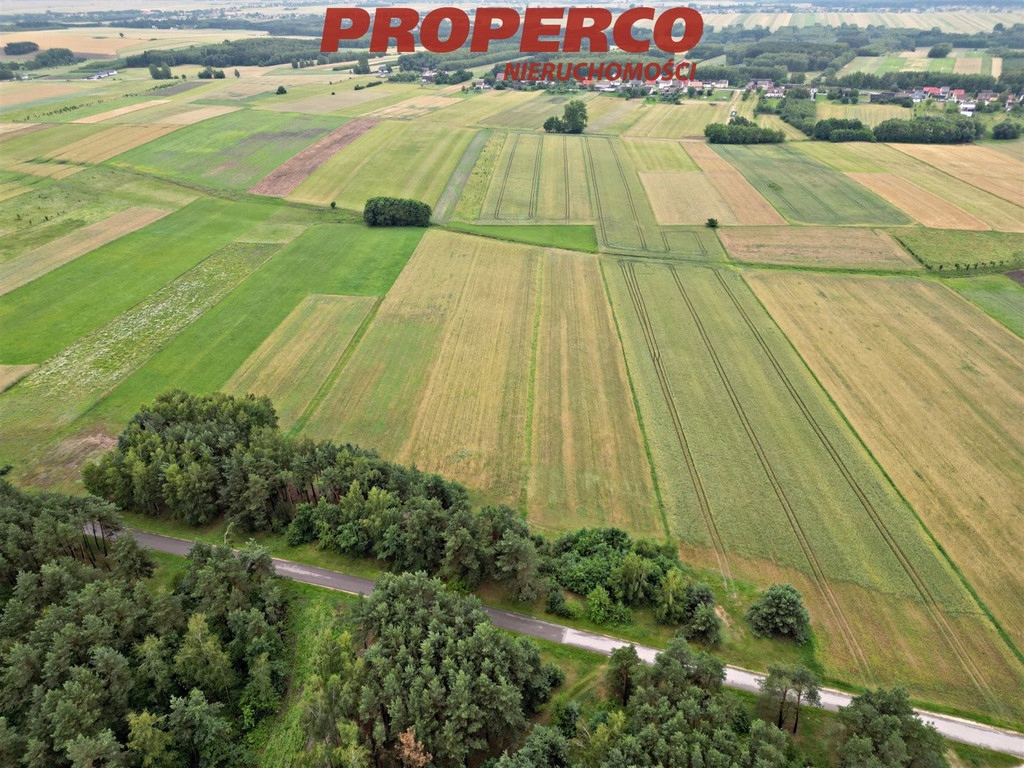 Działka, Bizoręda, Sobków (gm.), 9400 m²