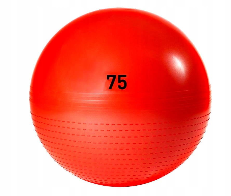 Мяч Fitness Ball 55cm