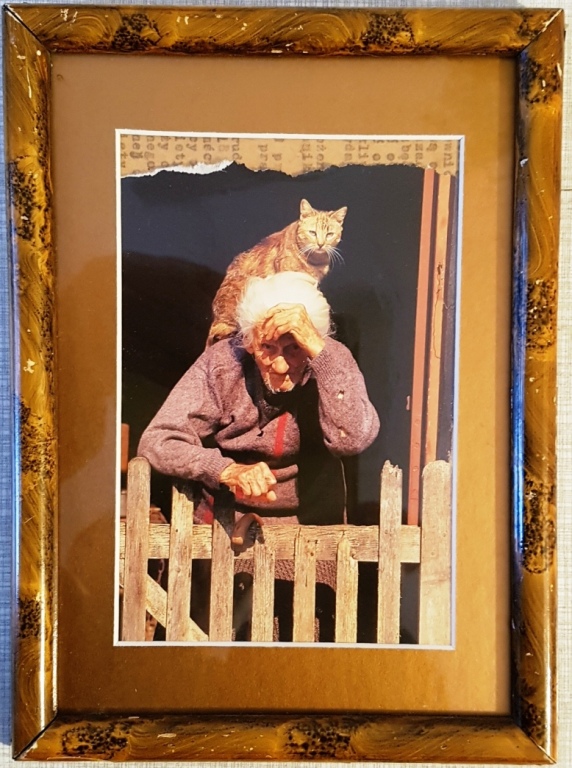 Fotografia artystyczna Babcia z kotem