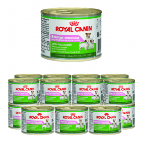 Royal Canin Starter Mousse Mother Babydog 24x 195g