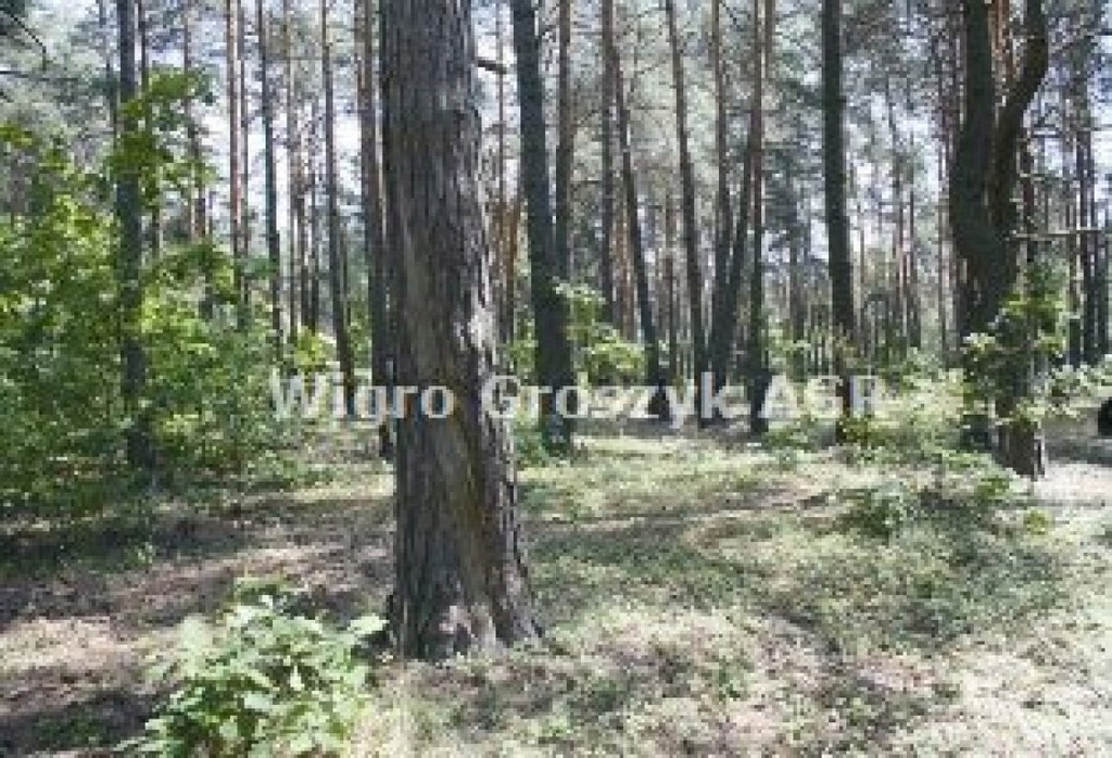 Działka na sprzedaż Józefów, otwocki, 3748,00 m²